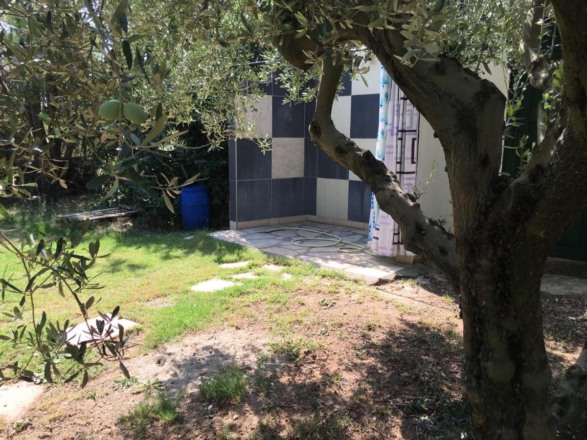 Villa Hrisavgi Nikiti  Exteriér fotografie