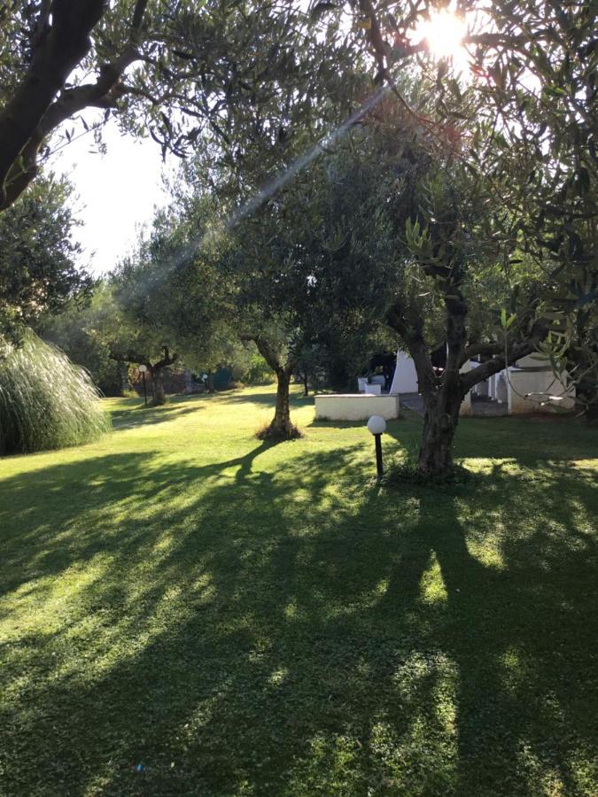 Villa Hrisavgi Nikiti  Exteriér fotografie
