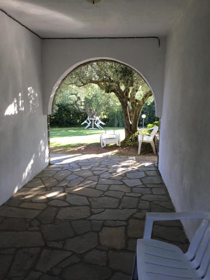 Villa Hrisavgi Nikiti  Exteriér fotografie
